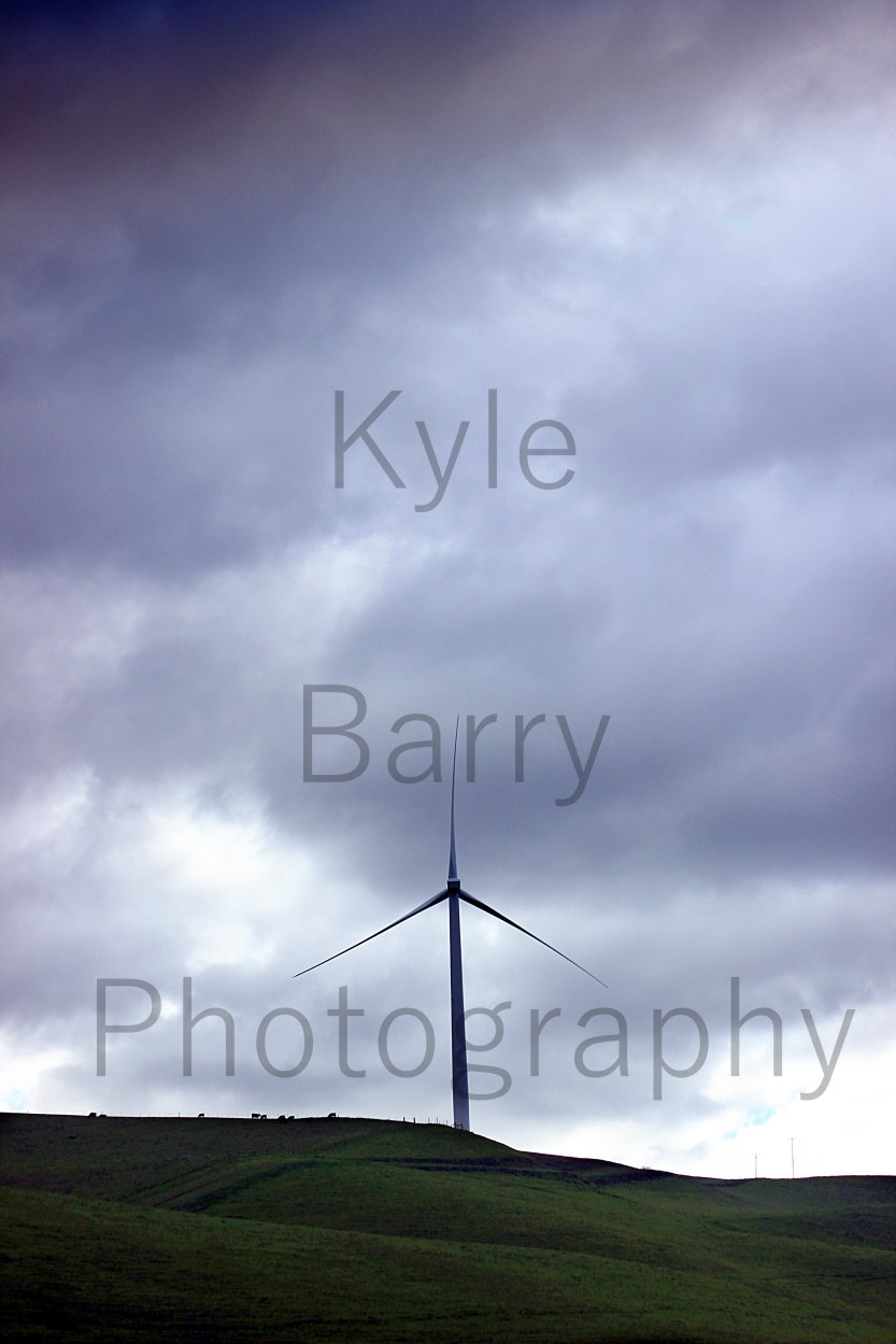 IMG_0239EWatermarked