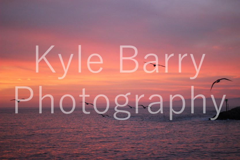 IMG_8608EWatermarked